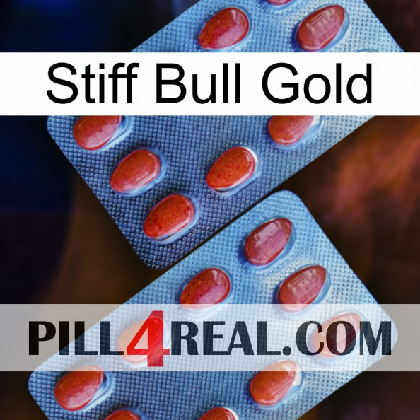 Stiff Bull Gold 05.jpg